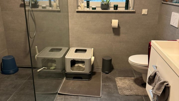 Appartement mit Garten und Terrasse in Bedburg-Mitte